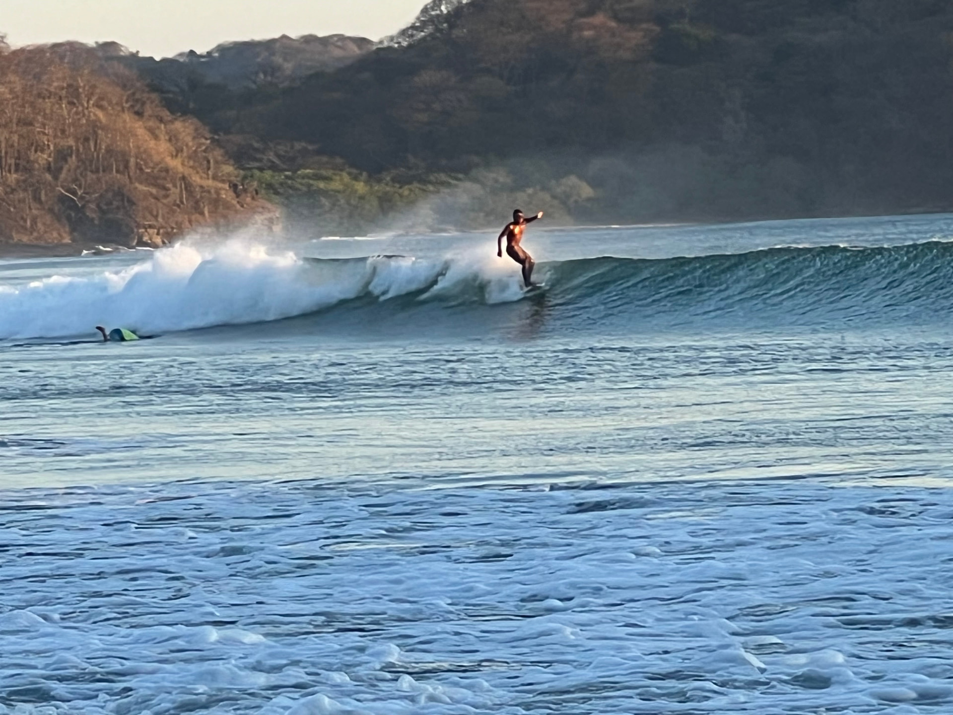 A surfer riding a wave near the forested coast