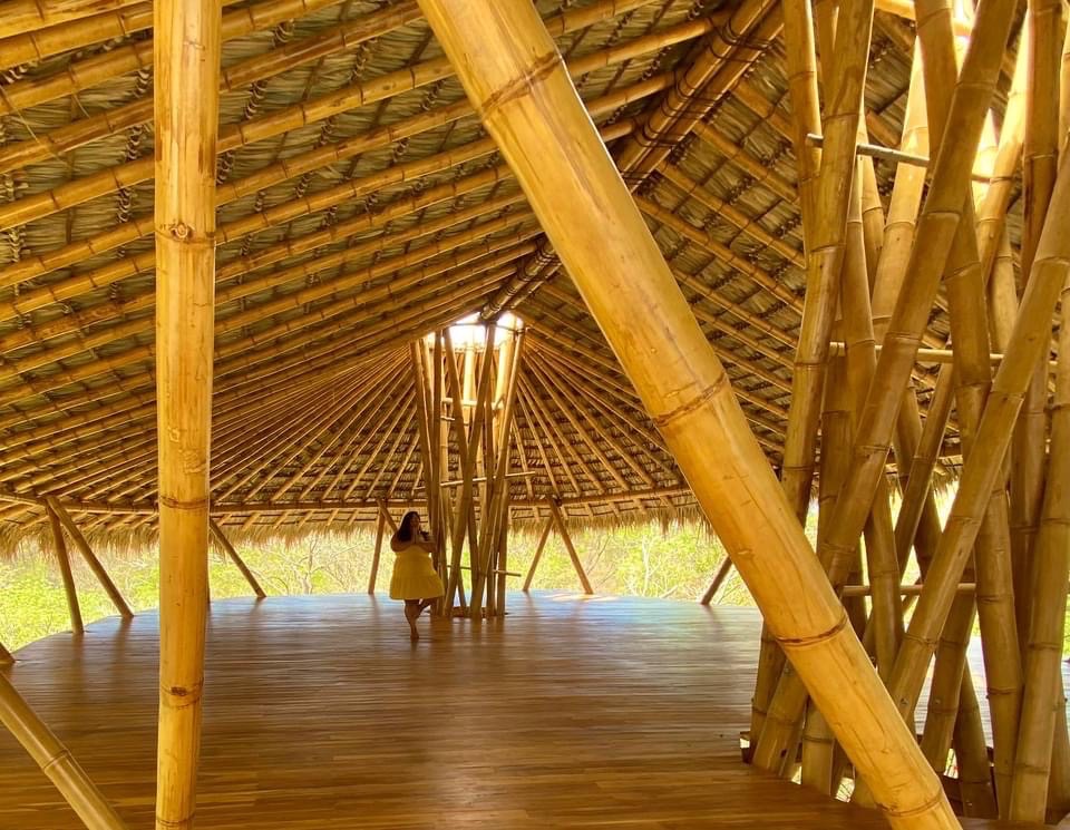 A person walking through the soaring bamboo pavilion