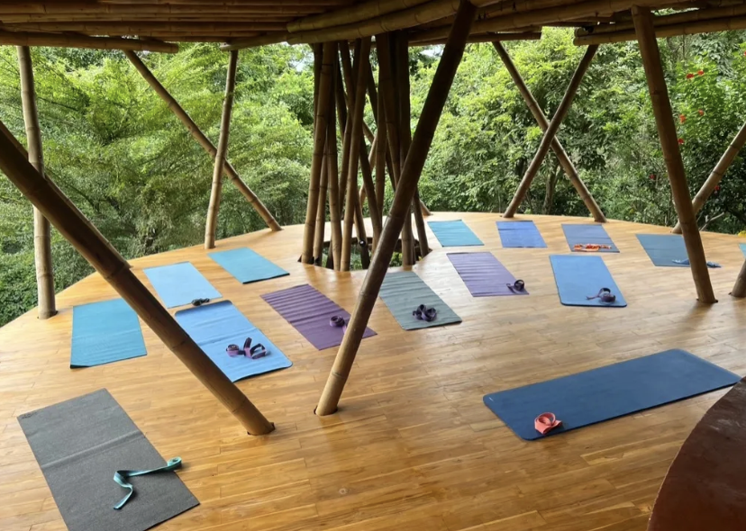 Bamboo yoga deck in the forest with mats laid out across the wooden floor